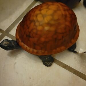 Vintage Beautiful Turtle Light